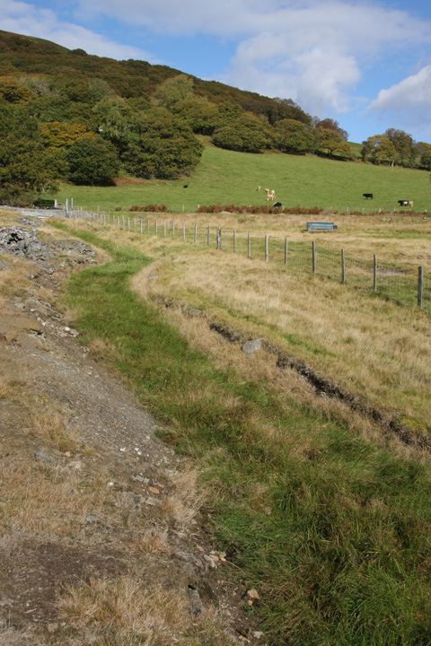 Abbey Consols drainage ditch