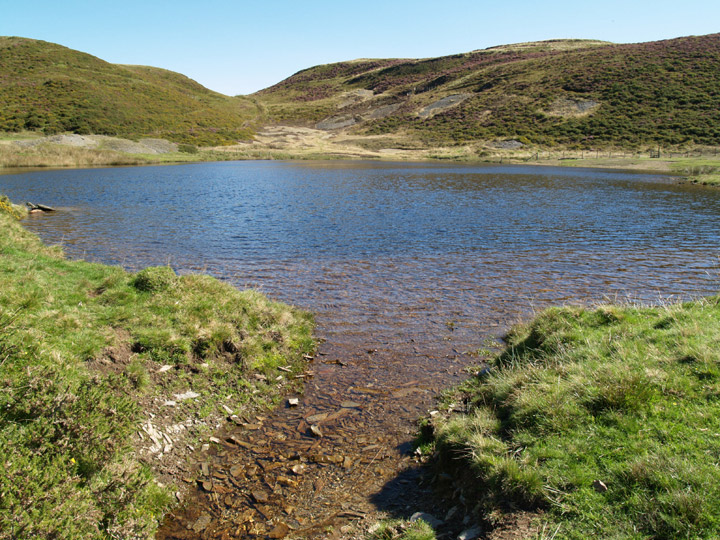 Cwm Rheidol Mine