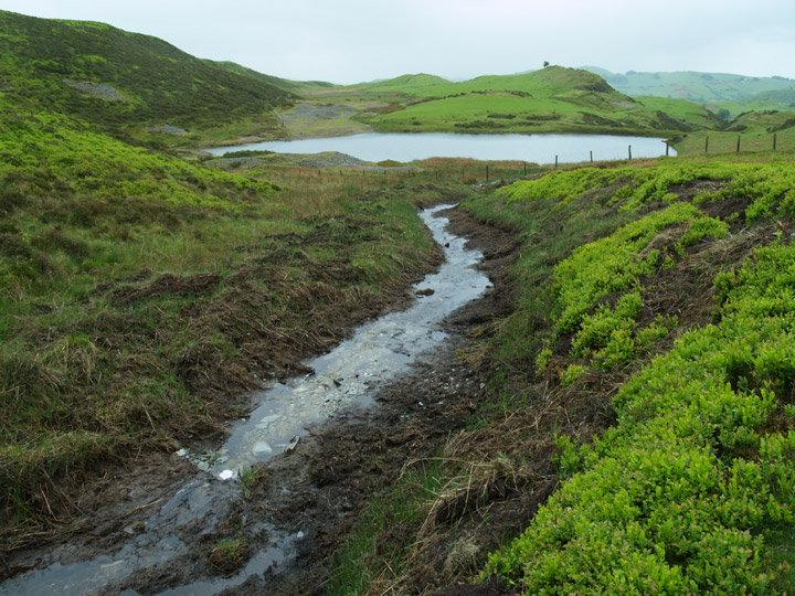 Cwm Rheidol Mine