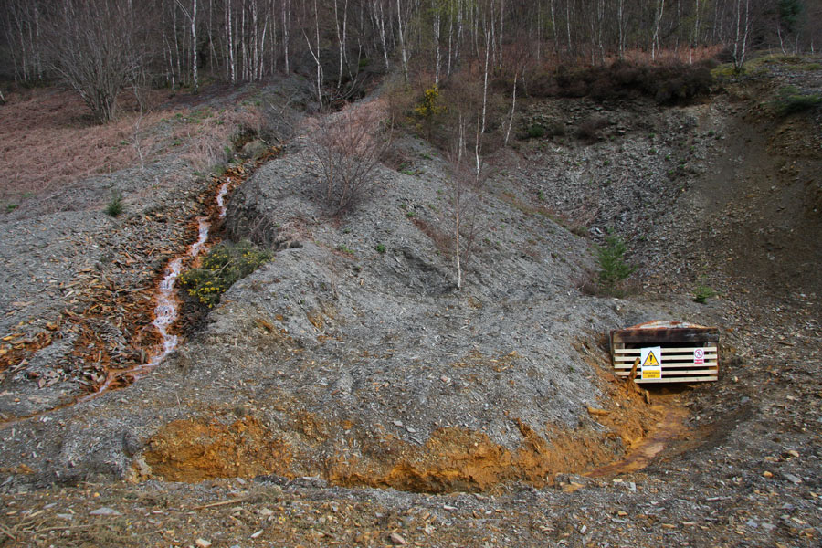 Cwm Rheidol Mine