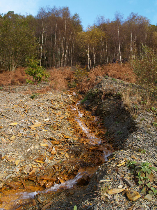 Cwm Rheidol Mine