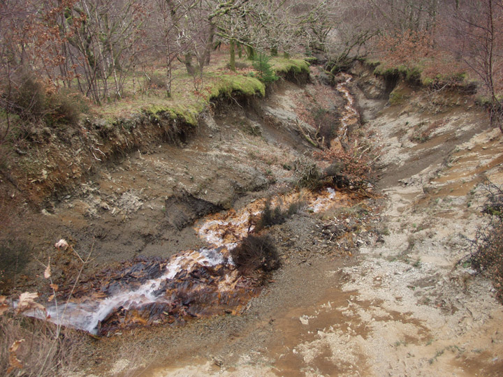Cwm Rheidol Mine