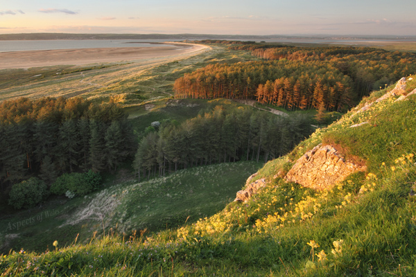 Cwm Ivy Tor, Gower