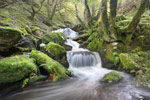 Cwm y Rhaeadr, Carmarthenshire