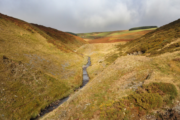 Nant Dropyns below reservoir