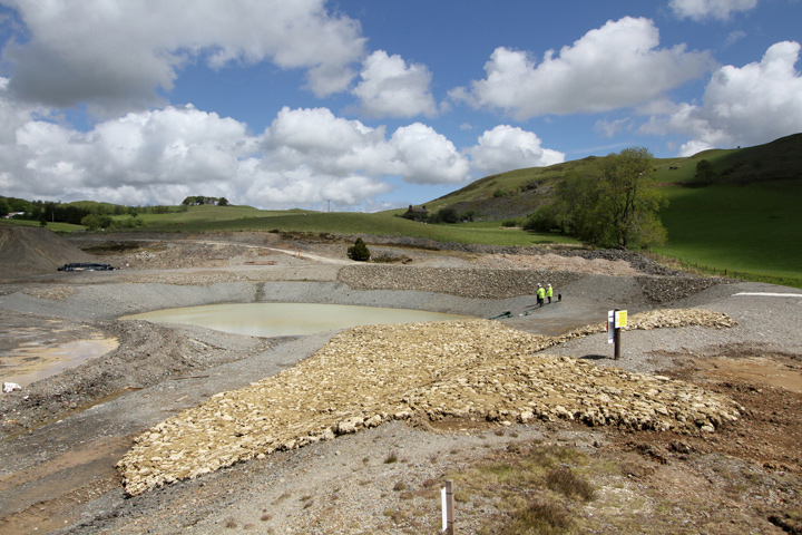 Frongoch Mine, Ceredigion