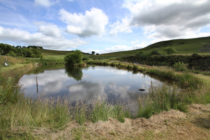Frongoch Mine, Ceredigion