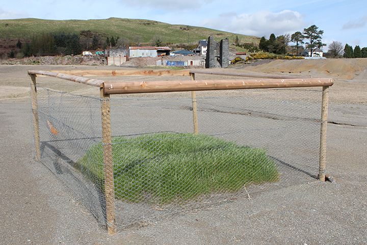 Biochar trial, Frongoch