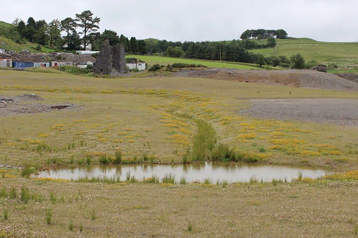 Frongoch Mine, June 2017