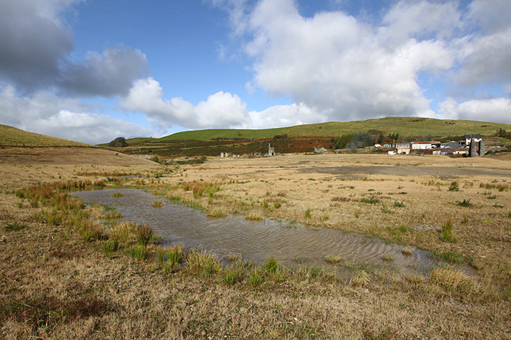 Wet weather survey, July 2017