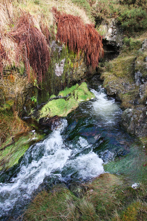 Frongoch Mine