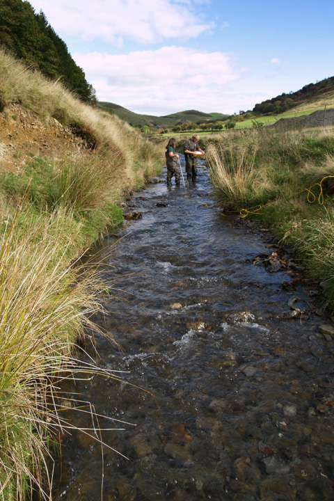 Frongoch Mine