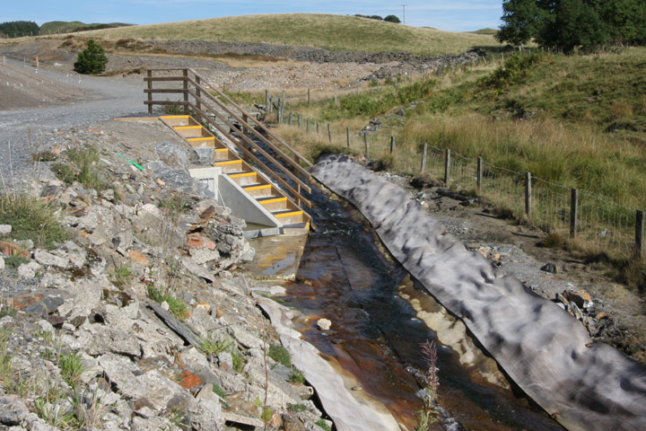 Frongoch Mine