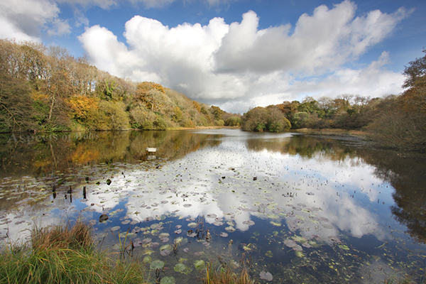Fairwood Lake, Blackhills, Gower