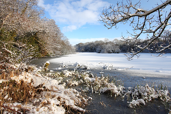 Fairwood Lake in snow