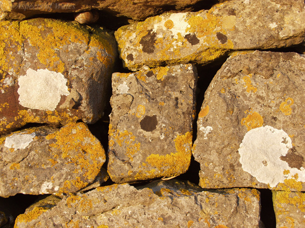 Sea Wall, Cheriton, Gower
