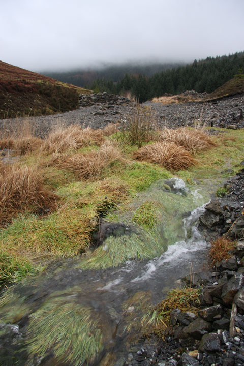 Nant y Mwyn Mine
