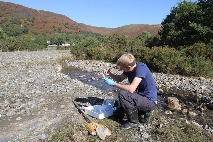 Invertebrate sampling on Nant y Bai