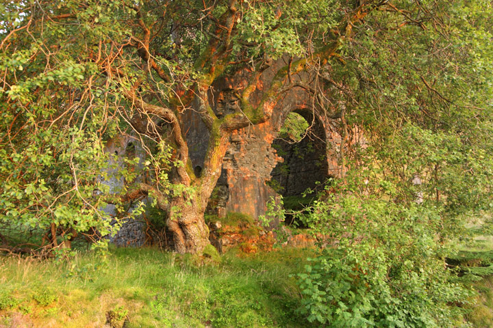 Old engine house at Nant y Mwyn Mine