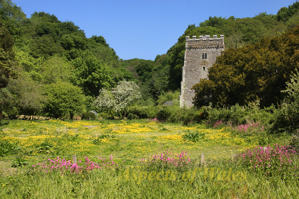 Nevern Church, Pembrokeshire