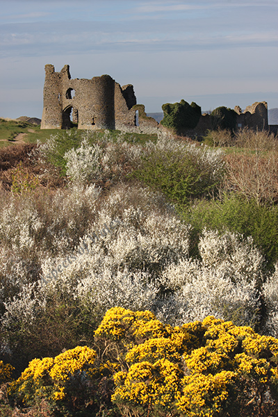 Pennard Castle, Gower