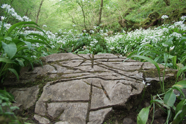 Bishopston Valley, Gower