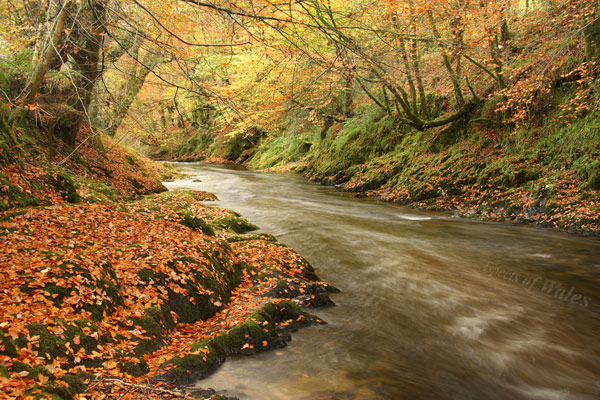 River Towy near Llandovery