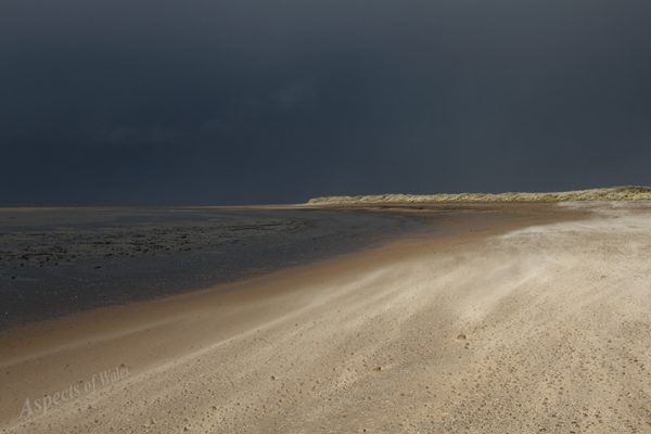 Whiteford Point, Gower