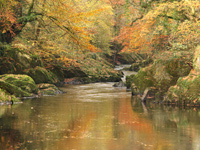 Afon Tywi near Cilycwm